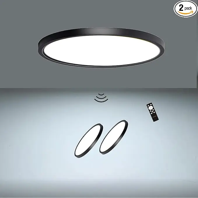 2 Pack Motion Sensor Ceiling Light