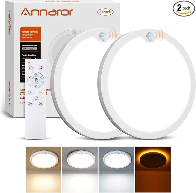 Annaror 2Pack Motion Ceiling Light