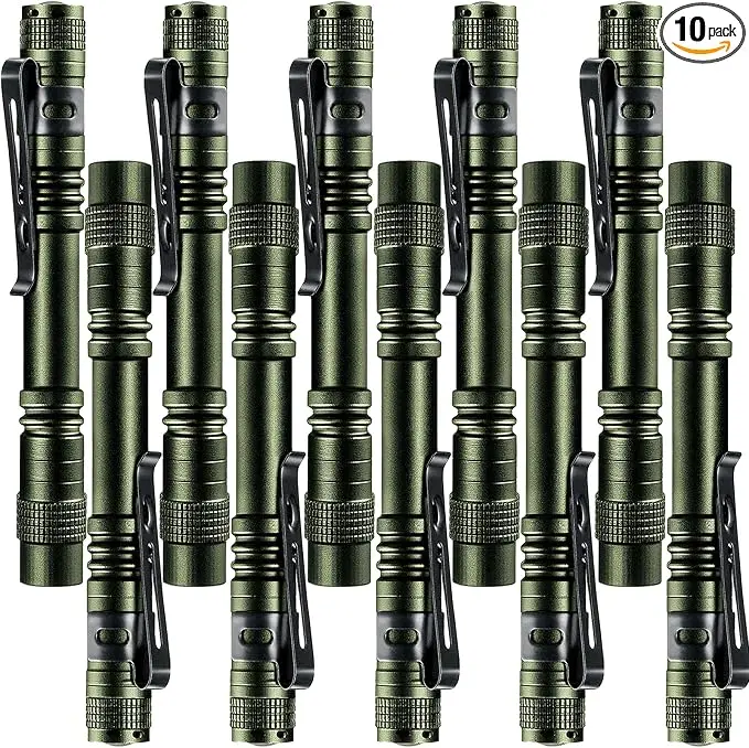 Beieverluck 10 Pack Mini LED Flashlight