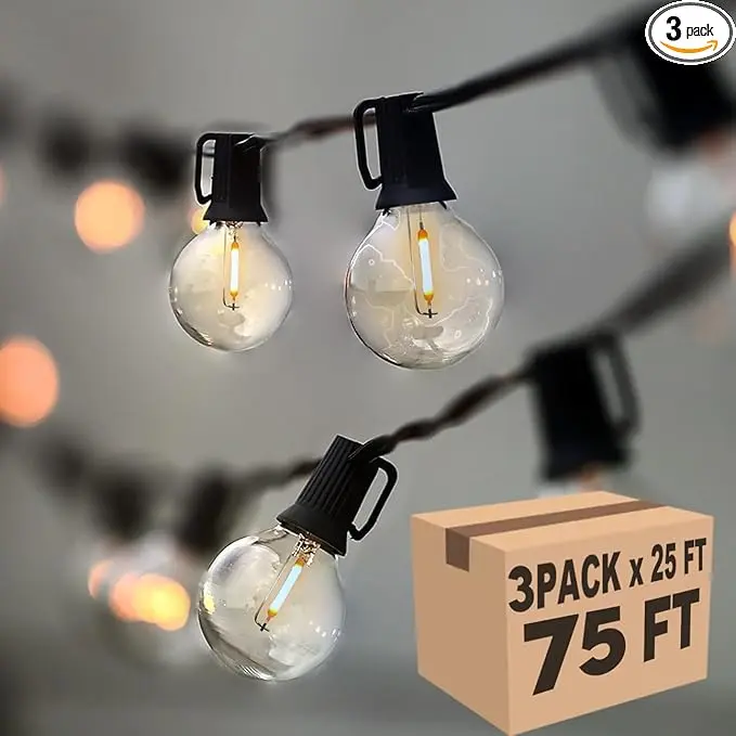 Lampat String Lights, LED 25Ft G40 Globe String Lights