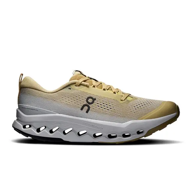 Mens Cloudsurfer Trail 2