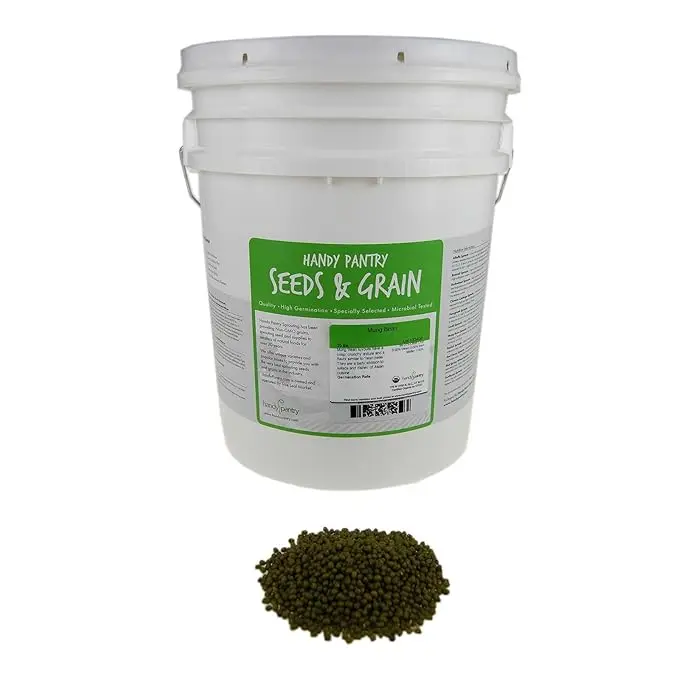 Mung Bean Sprouting Seed