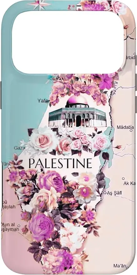 Palestine Map Palestine Map Case