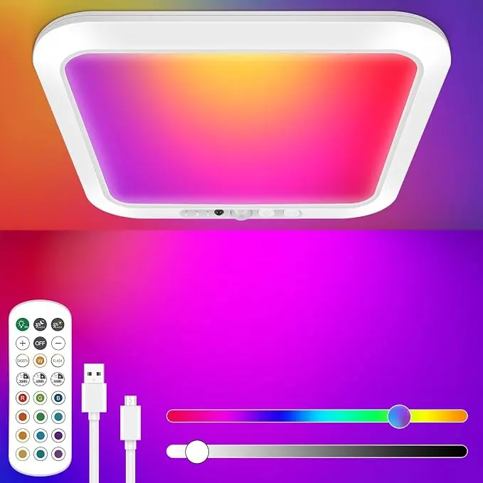 Rechargeable Motion Sensor Closet Light