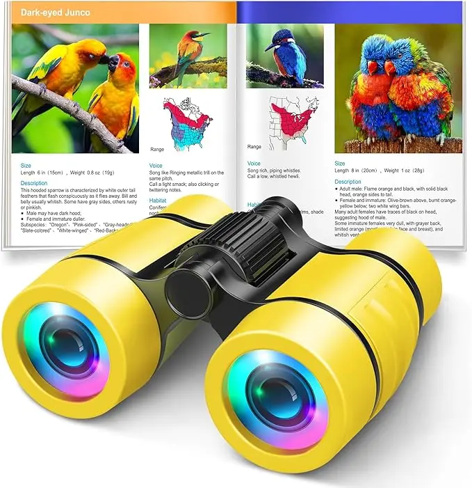 Toys for 3-7 Year Old Girl Boy