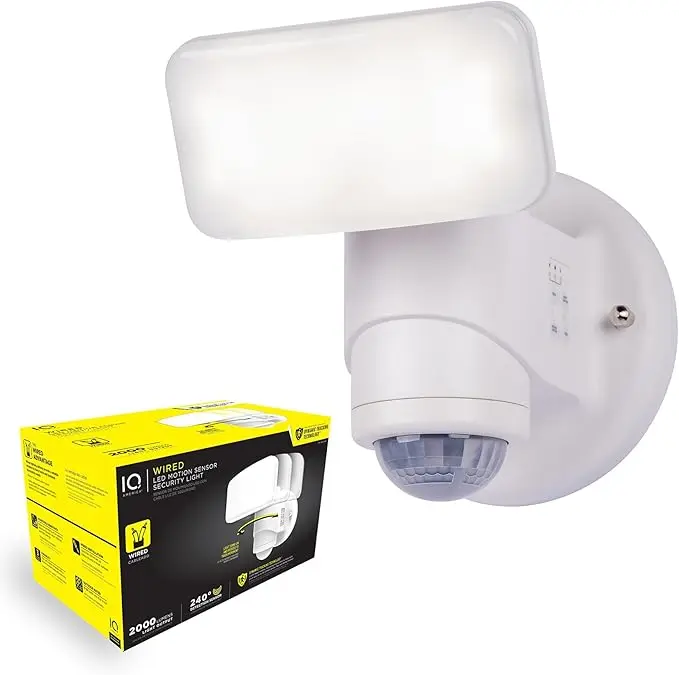Wired Motion Security Light